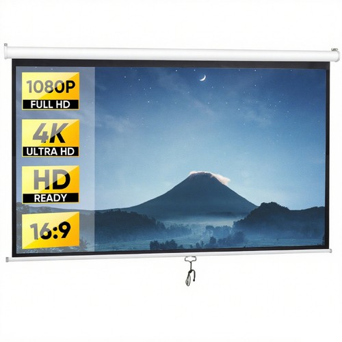 Projector screen pull down - pull, 100